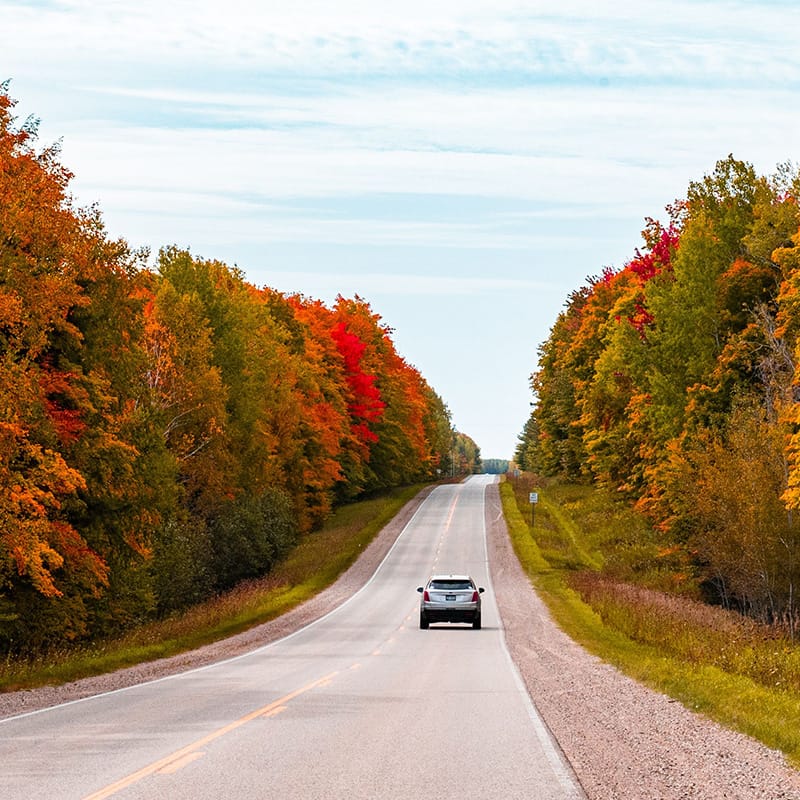 Scenic road lined with vibrant autumn trees and a car driving, showcasing Trillium Estates amenities with accessible transportation routes